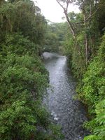 /Bilder/Orte/Costa Rica/Fluss.jpg